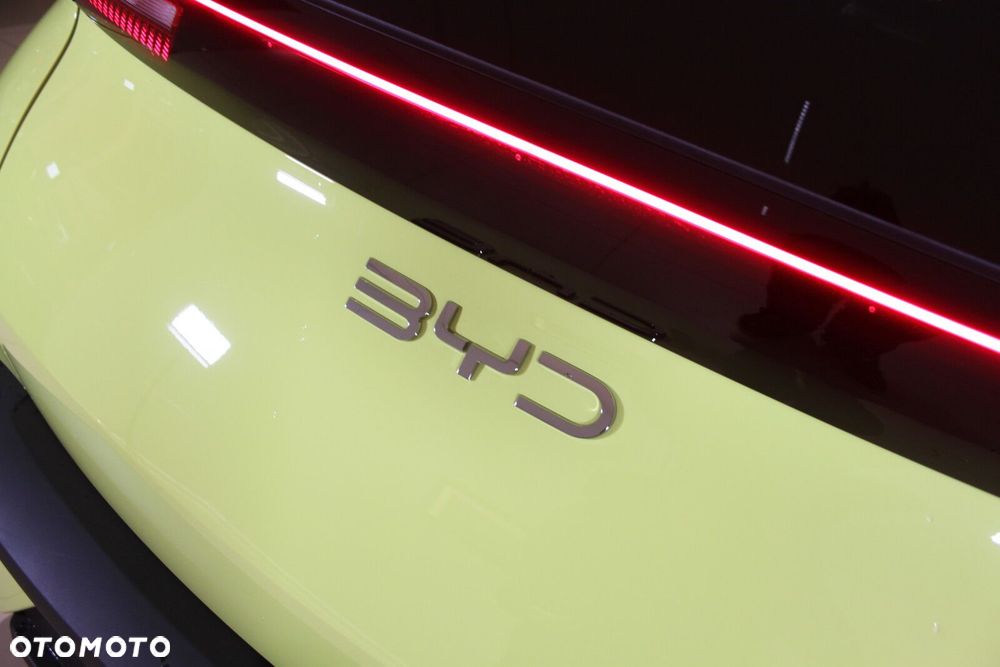 BYD Dolphin Surf - 21