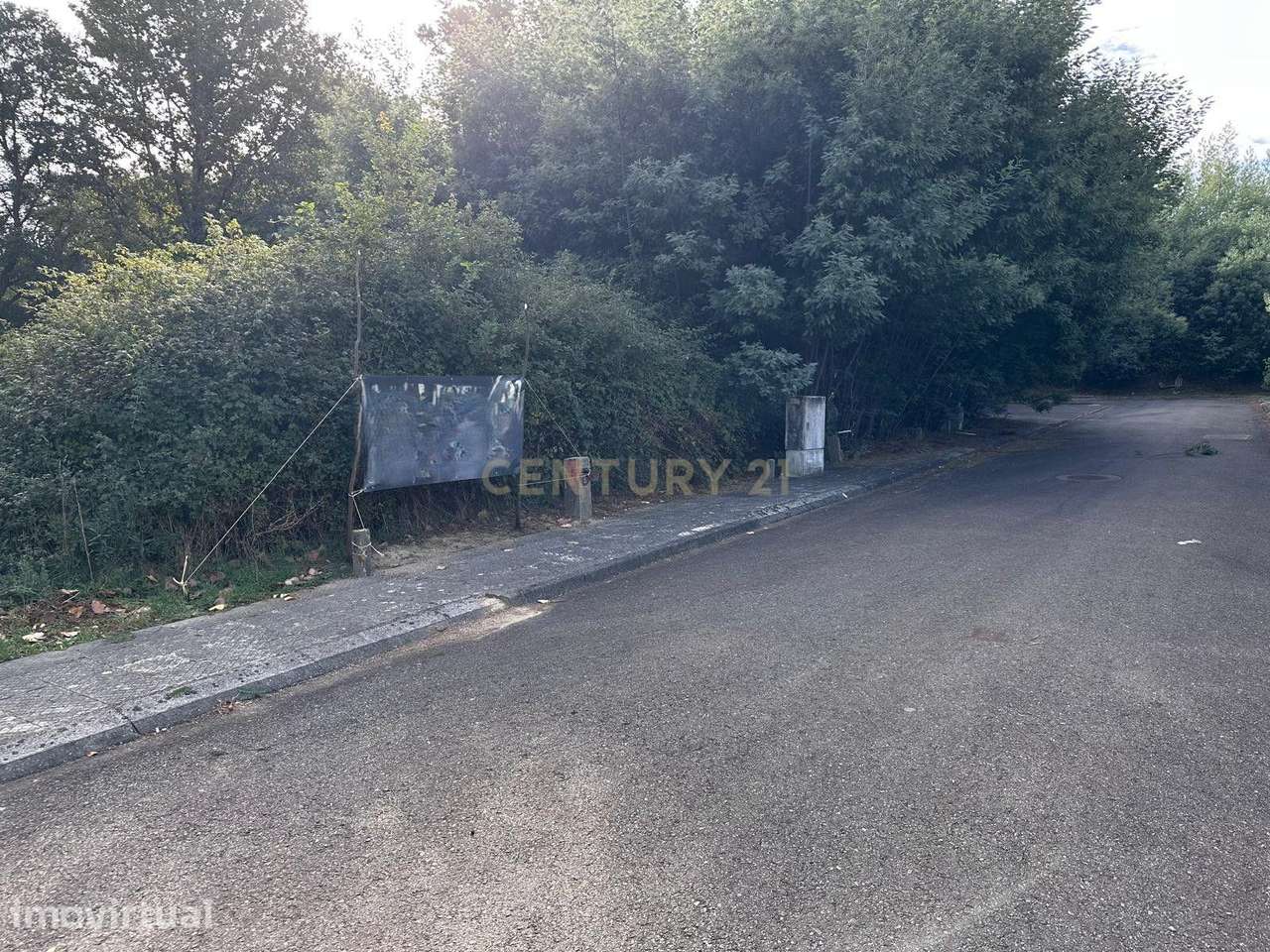 Lote de terreno em Santa Comba Dão com Vista Campestre - Grande imagem: 5/6