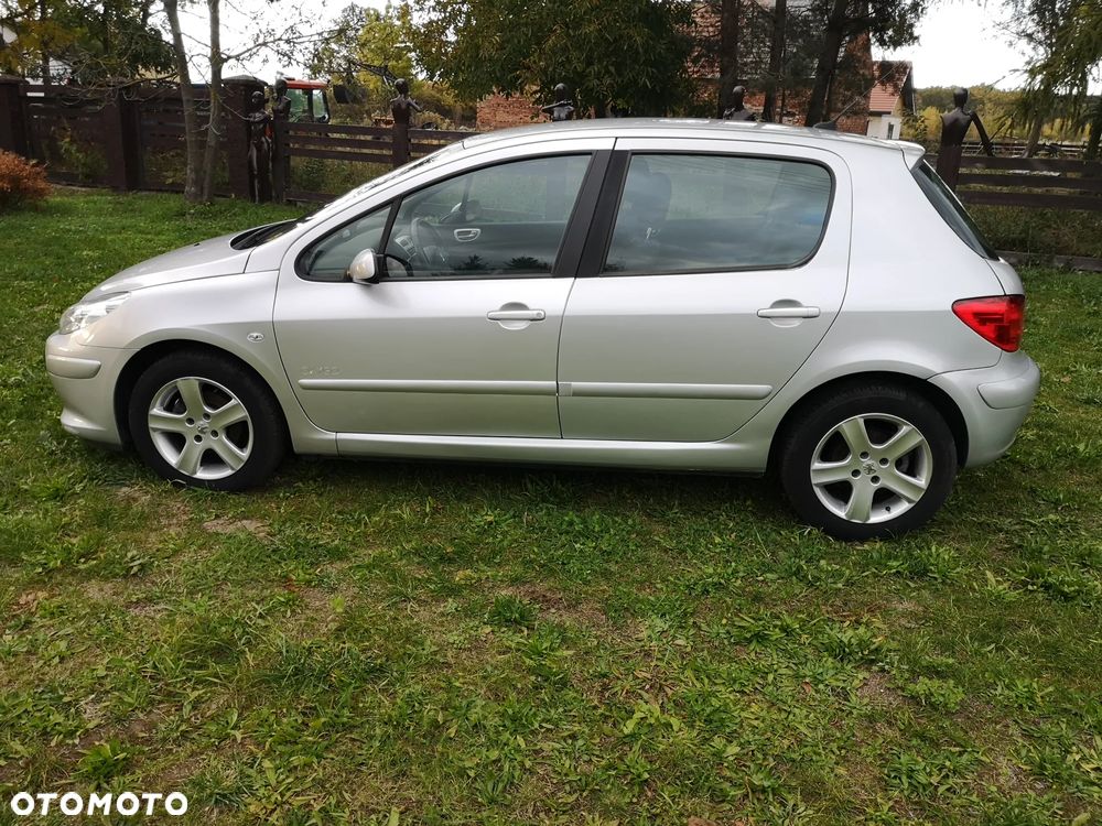 Peugeot 307 - 5