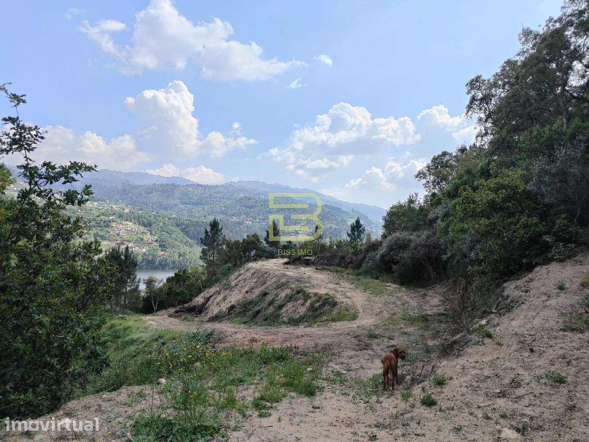 TERRENO MISTO com 28 588m2 com VISTA permanente para o RIO em Paços de - Grande imagem: 4/9