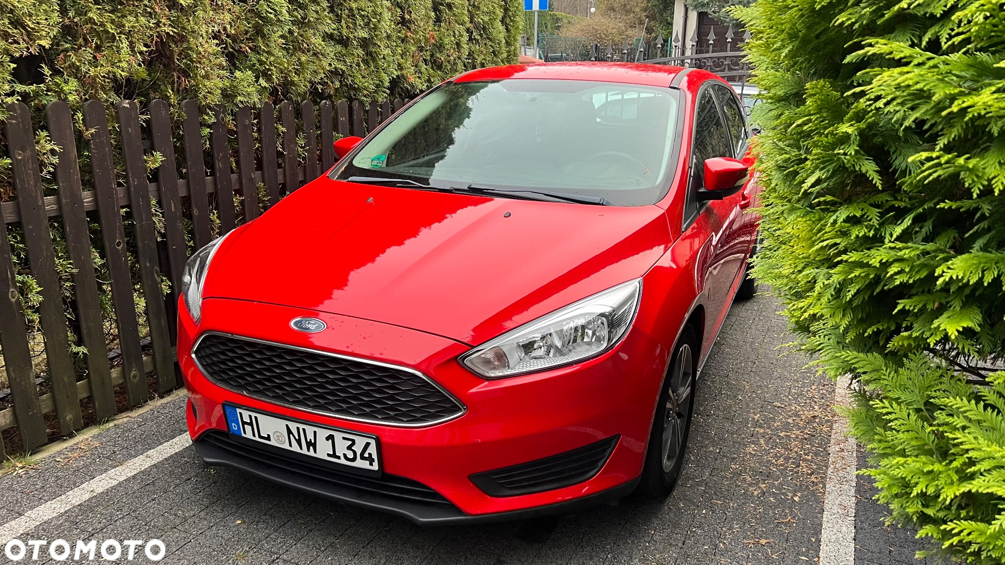 Ford Focus - 2