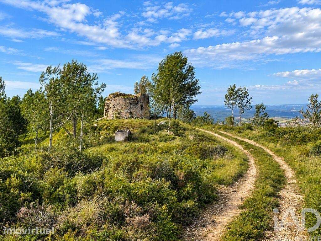 Terreno misto em Vilar - Grande imagem: 2/8