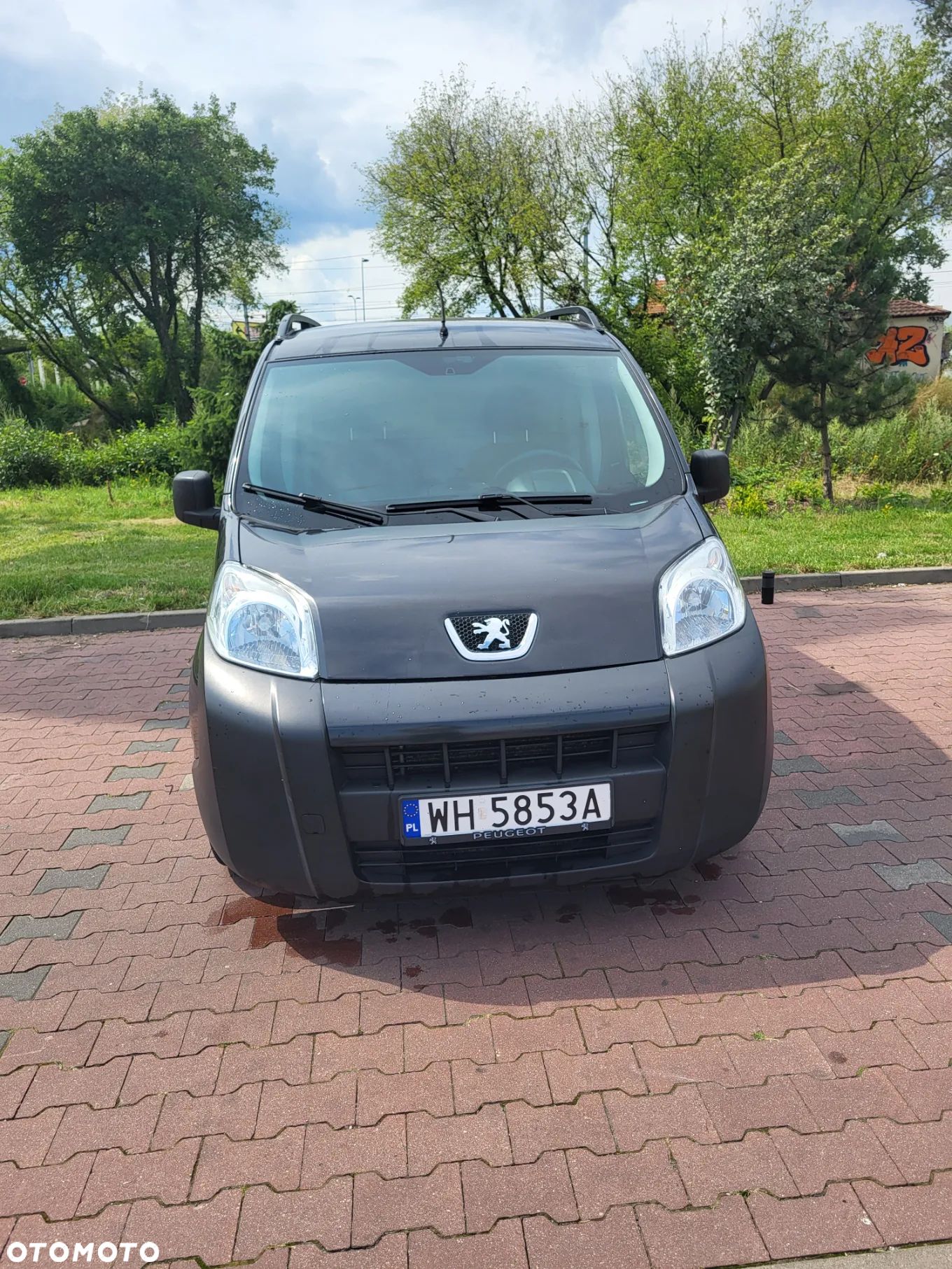 Peugeot Bipper Tepee 1.3 HDi Presence - 1