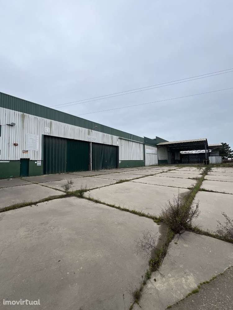 Armazém de 2500m2 em Pq. Industrial da Mitrena Setúbal - Grande imagem: 2/6