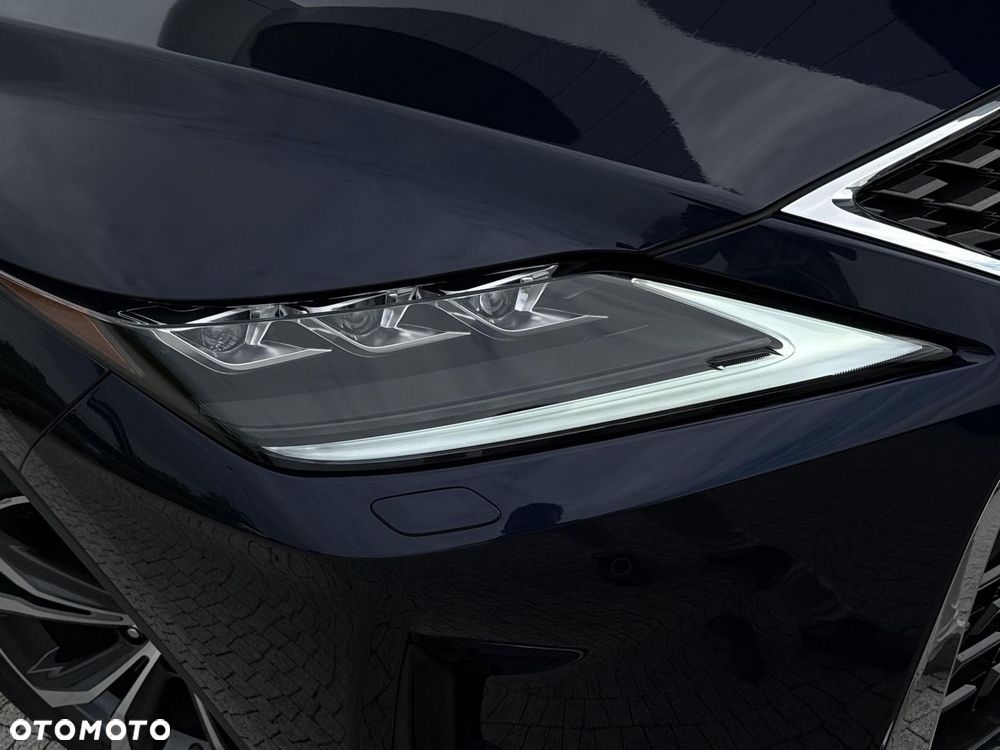 Lexus RX - 28