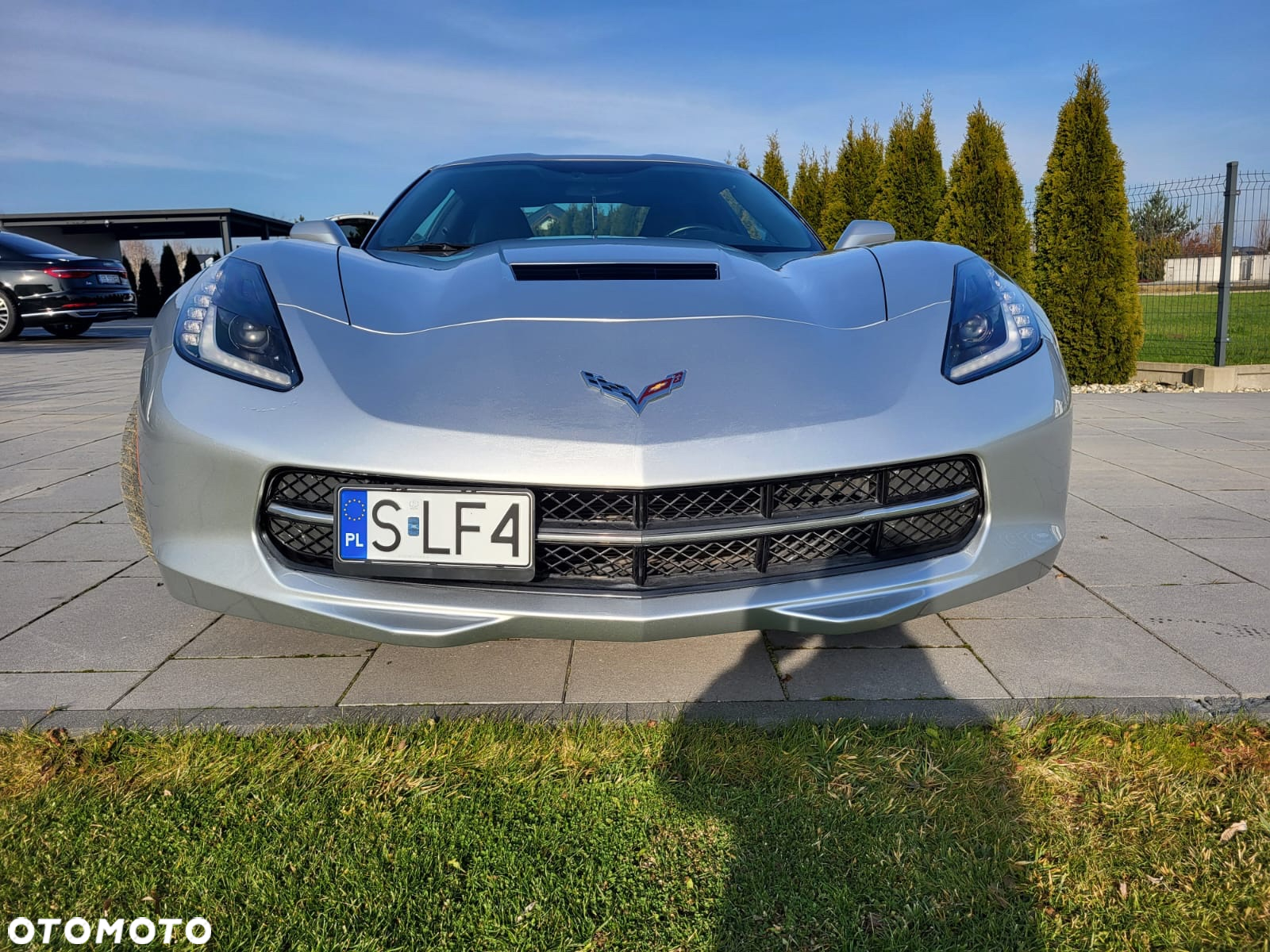 Chevrolet Corvette - 11