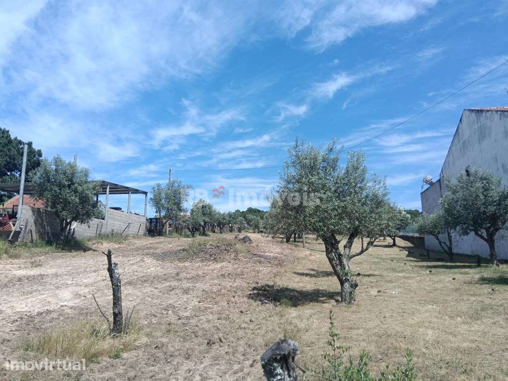 Terreno Urbano com 1.520 m² para construção, na Carregueira- Chamusca - Grande imagem: 2/5