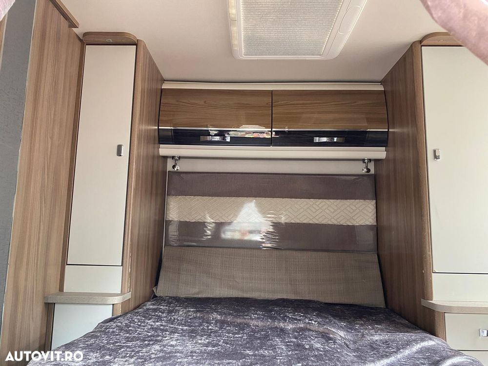 Swift Elegance - 4