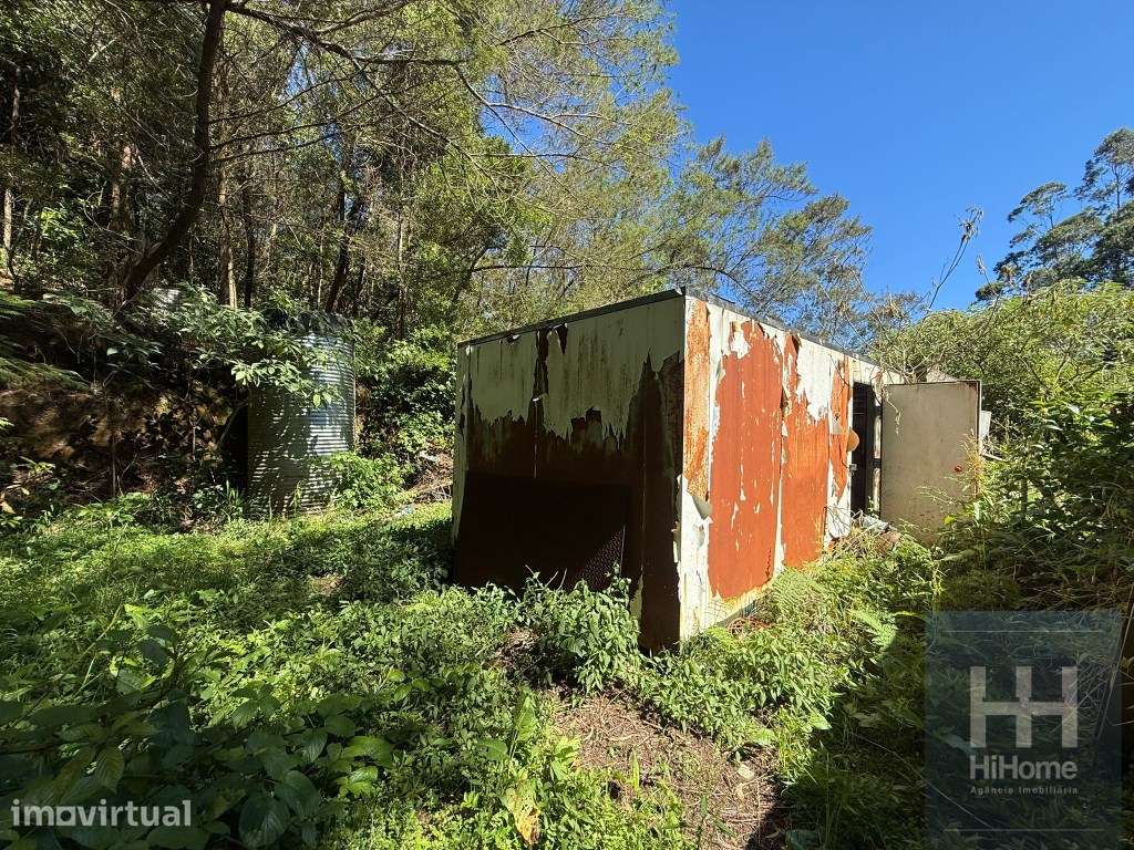 Terreno plano com 1.240 m² em São Jorge - Grande imagem: 3/9