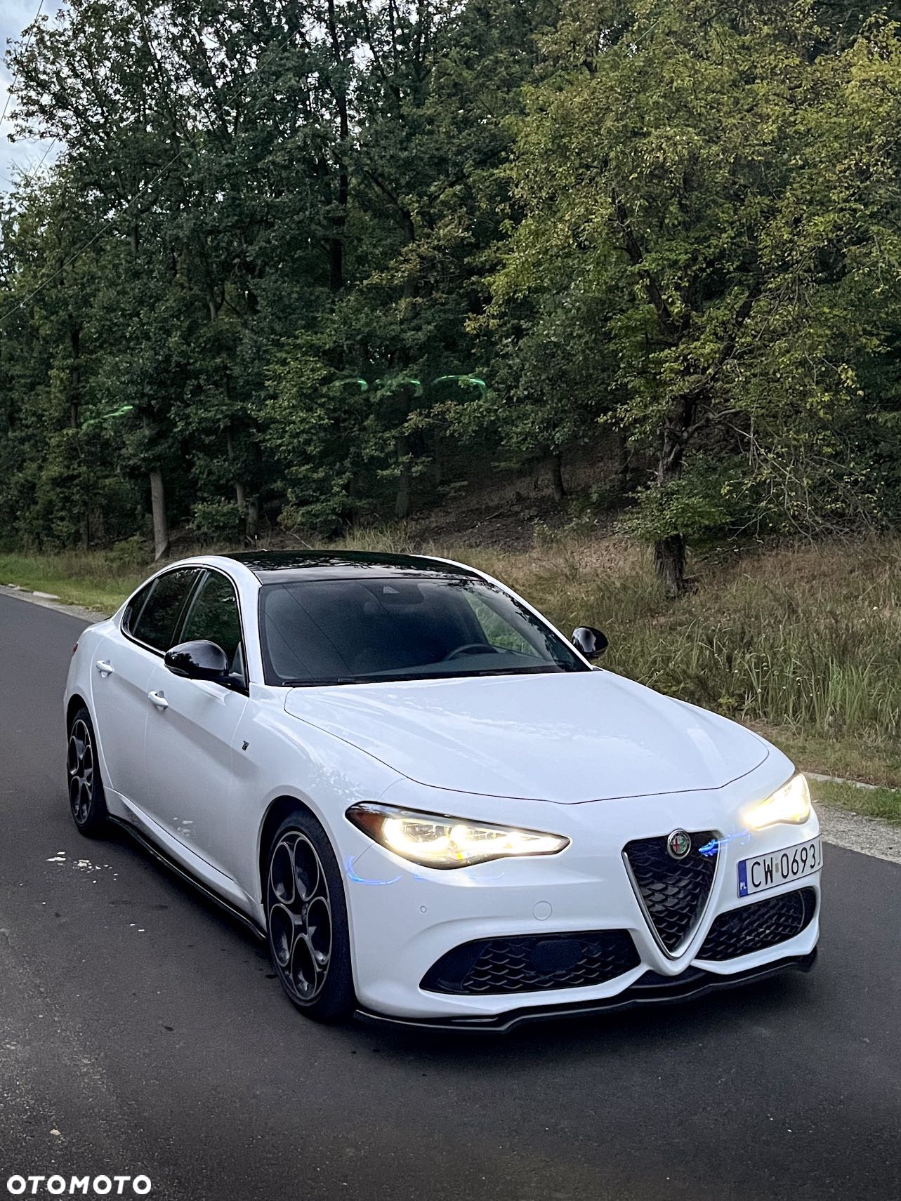 Alfa Romeo Giulia ver-2-0-turbo-16v-at8--q4-ti - 3