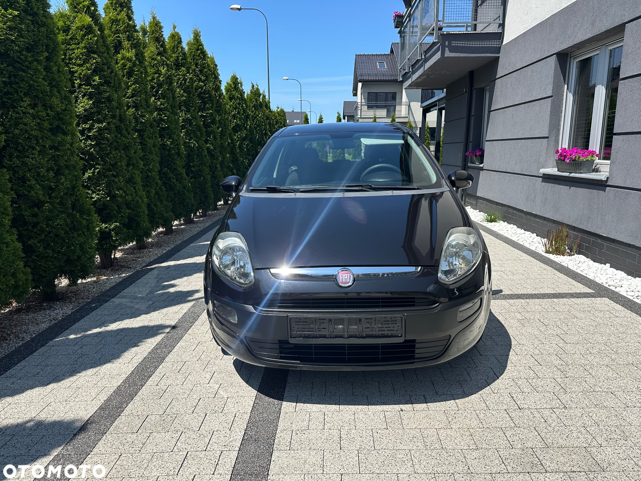 Fiat Punto Evo 1.4 8V Dualogic Dynamic Start&Stop - 2