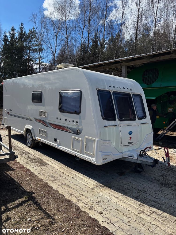 Bailey Unicorn Valencia - 1