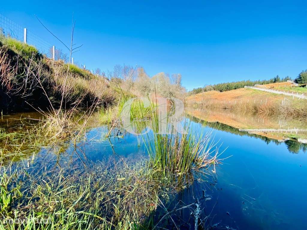 Terreno com 6 hect. vedado - Grande imagem: 2/27