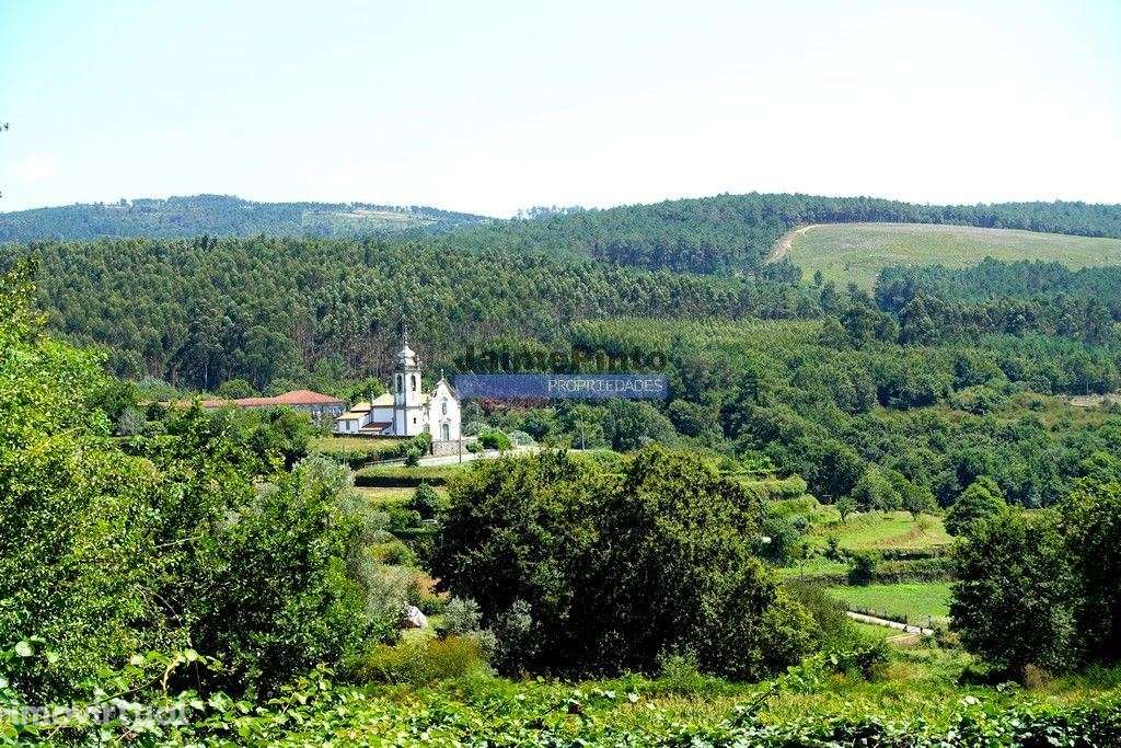 Terreno e Ruína p/ Restauro e Expansão, no Minho, em Agualonga. Por... - Grande imagem: 2/7