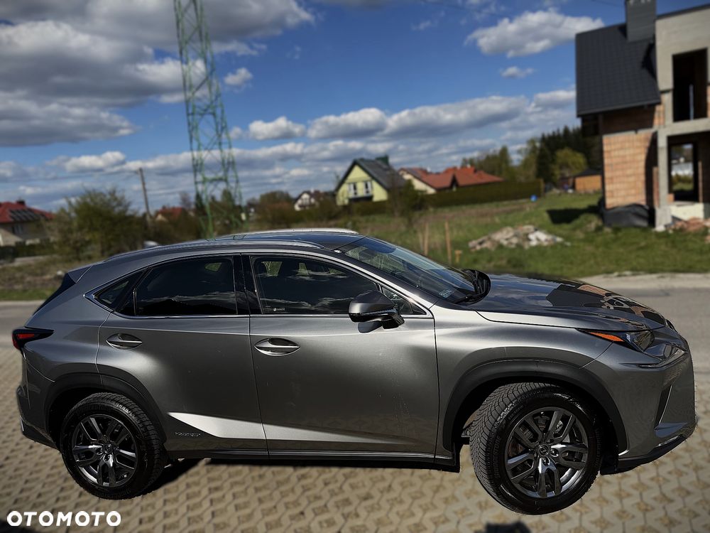 Lexus NX 300h Business Edition AWD - 7