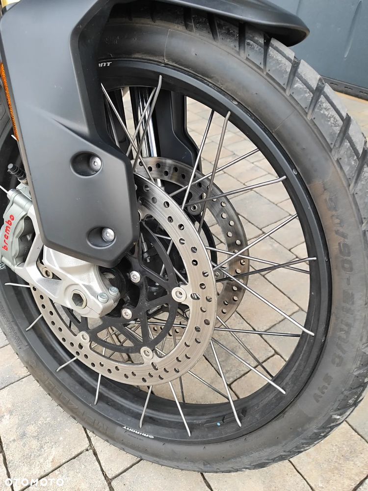 Triumph Tiger - 19