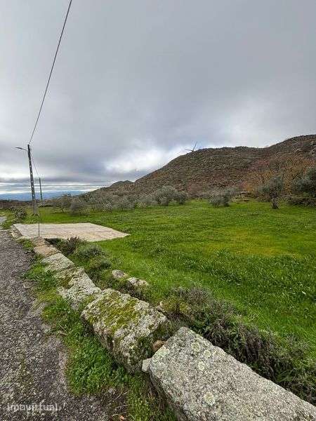 Moradia t3  com terreno - Grande imagem: 5/7