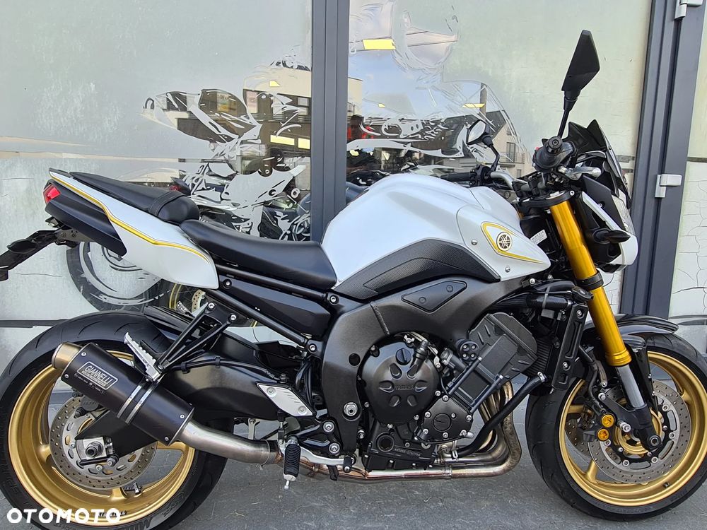 Yamaha FZ8 - 18