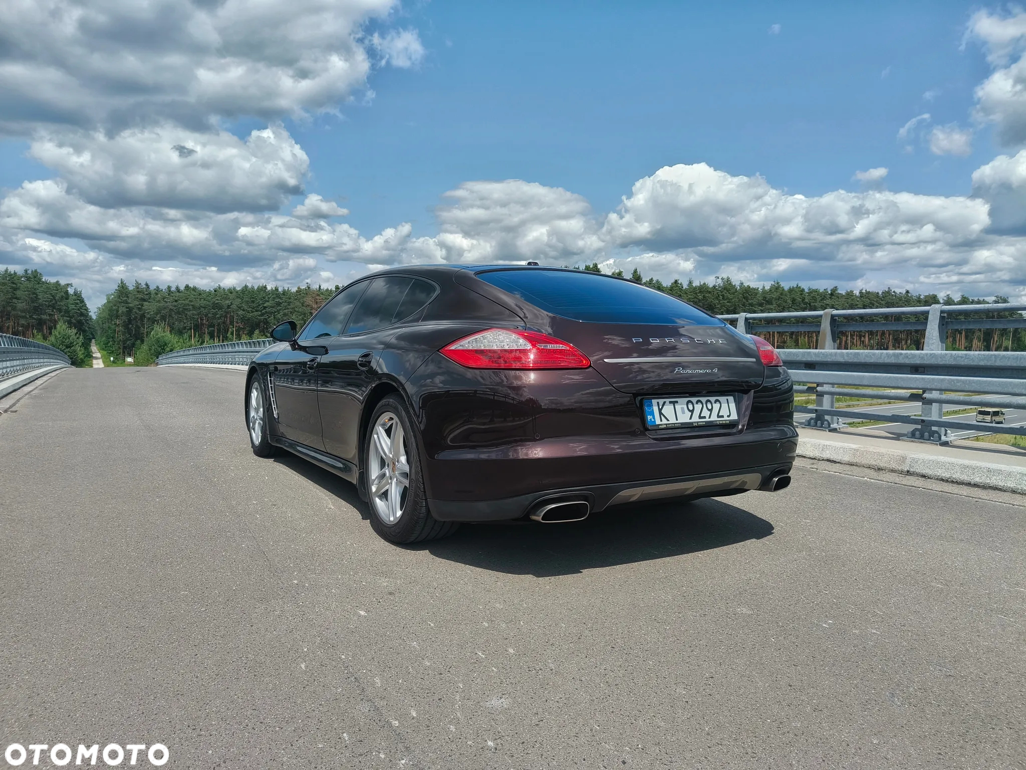 Porsche Panamera 4 PDK Platinum Edition - 11