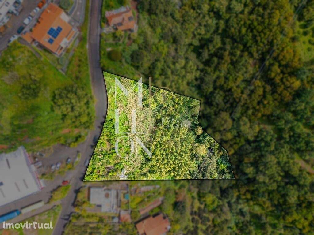 Exclusividade e Elegância no Palheiro Ferreiro – Madeira - Grande imagem: 3/17