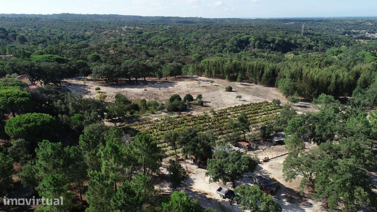 Excecional Quinta de 4 Hectares com Vista Mar – Melides, Grândola - Grande imagem: 5/24