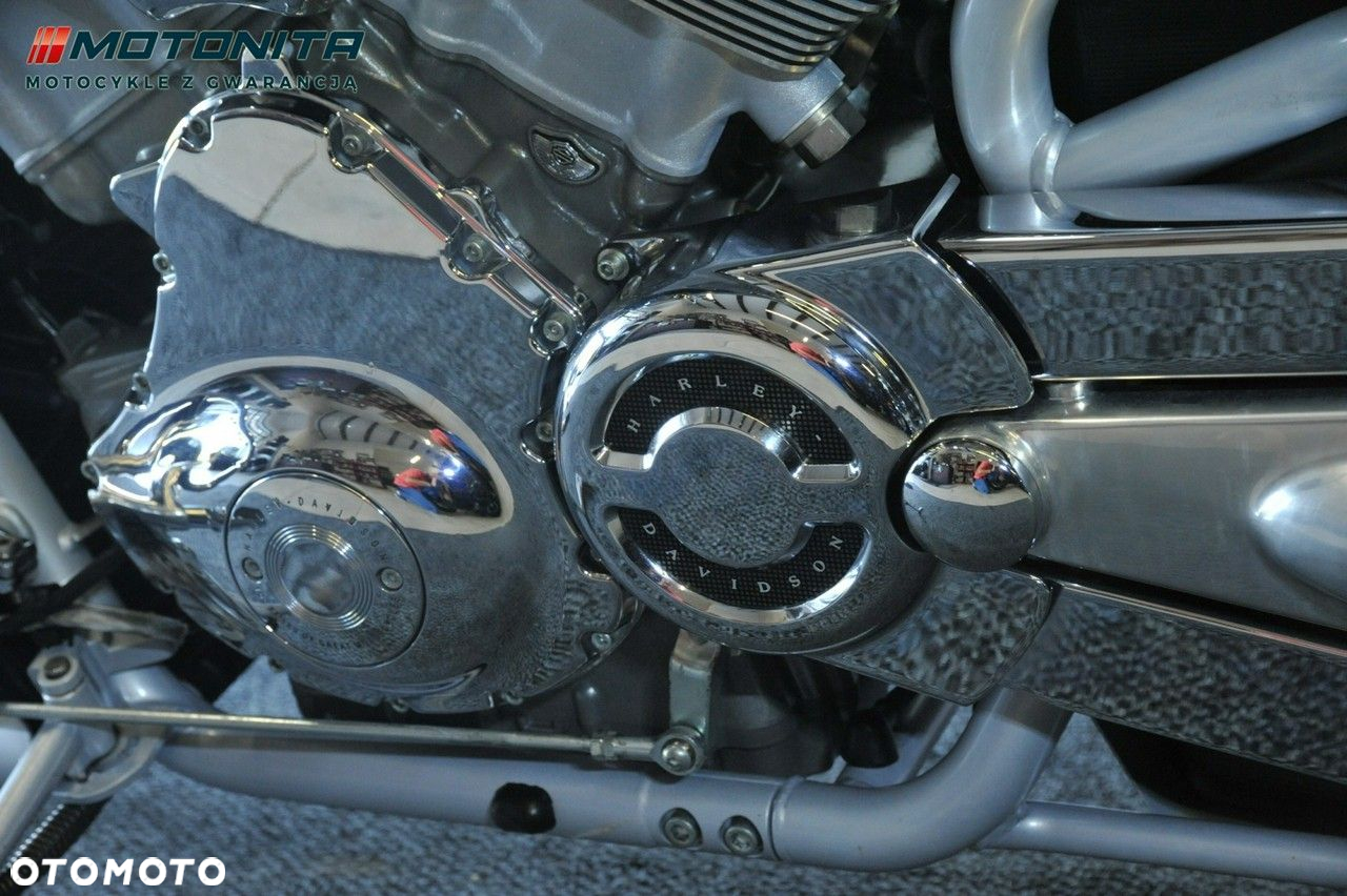 Harley-Davidson Softail V-Rod - 18