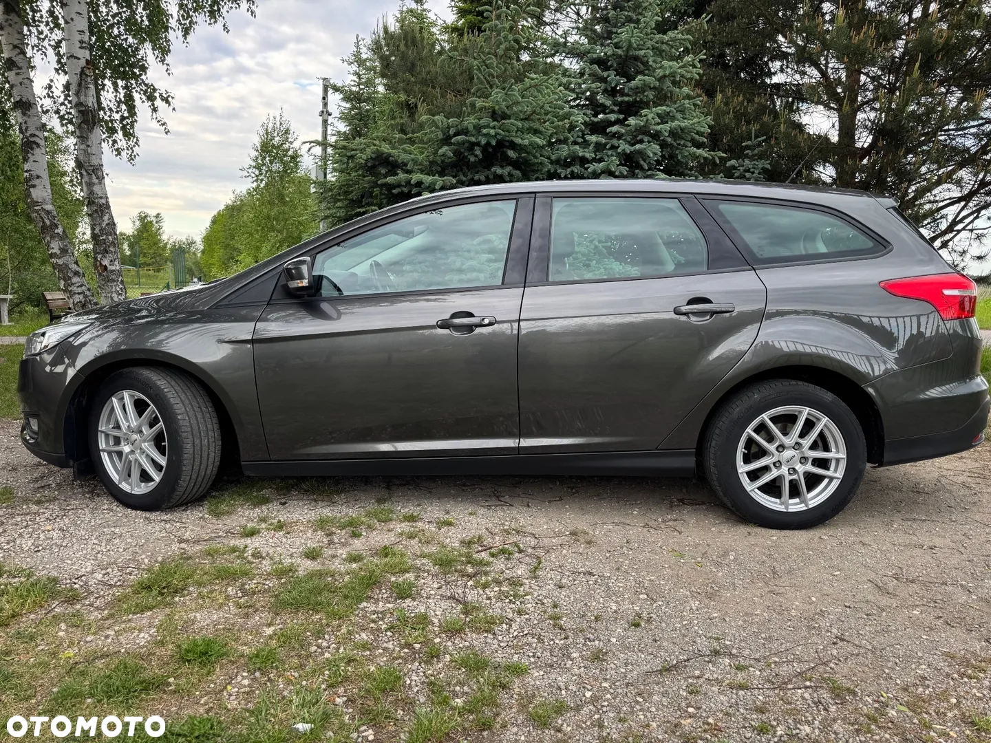 Ford Focus - 19