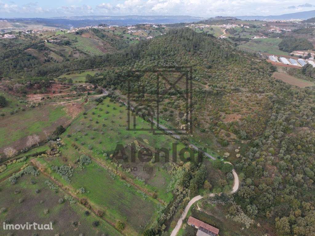 Oportunidade Única de Investimento Agrícola em Alenquer - Grande imagem: 3/27
