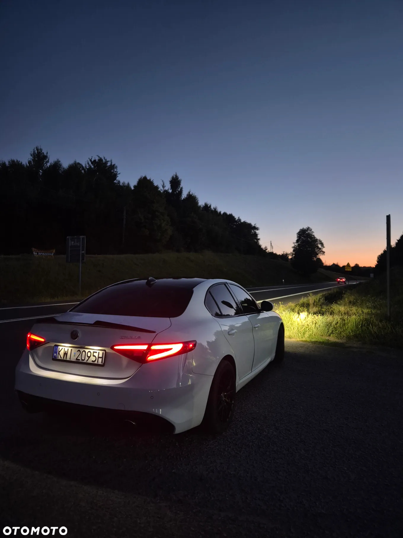 Alfa Romeo Giulia 2.0 Turbo 16V AT8 Veloce - 16