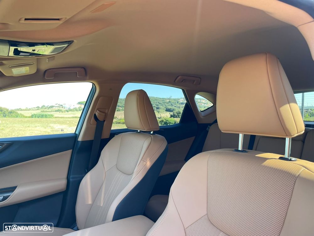 Lexus NX 450h+ Executive Plus - 31