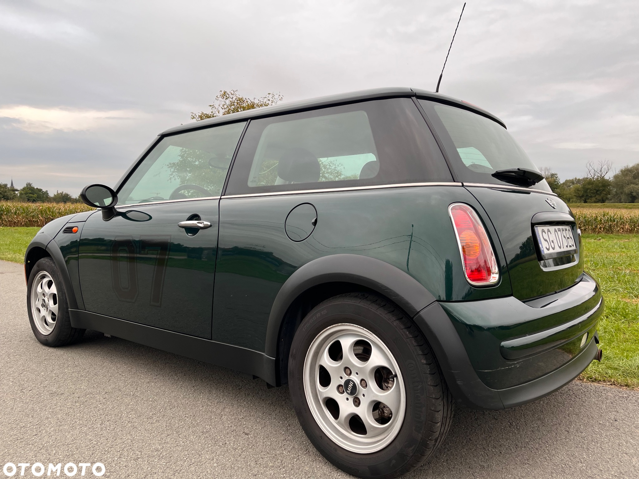 MINI ONE salt - 13