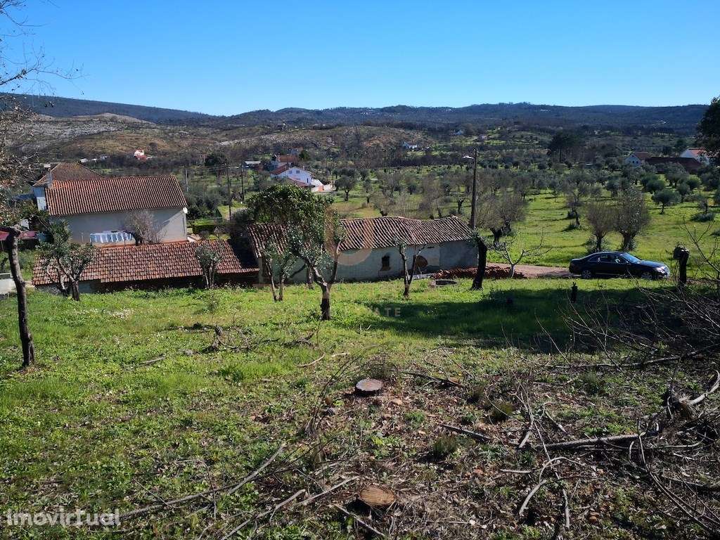 Oportunidade moradia T2 no campo - Freixianda - Grande imagem: 2/8