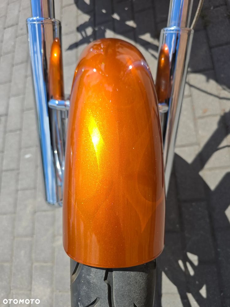 Harley-Davidson Inny - 14