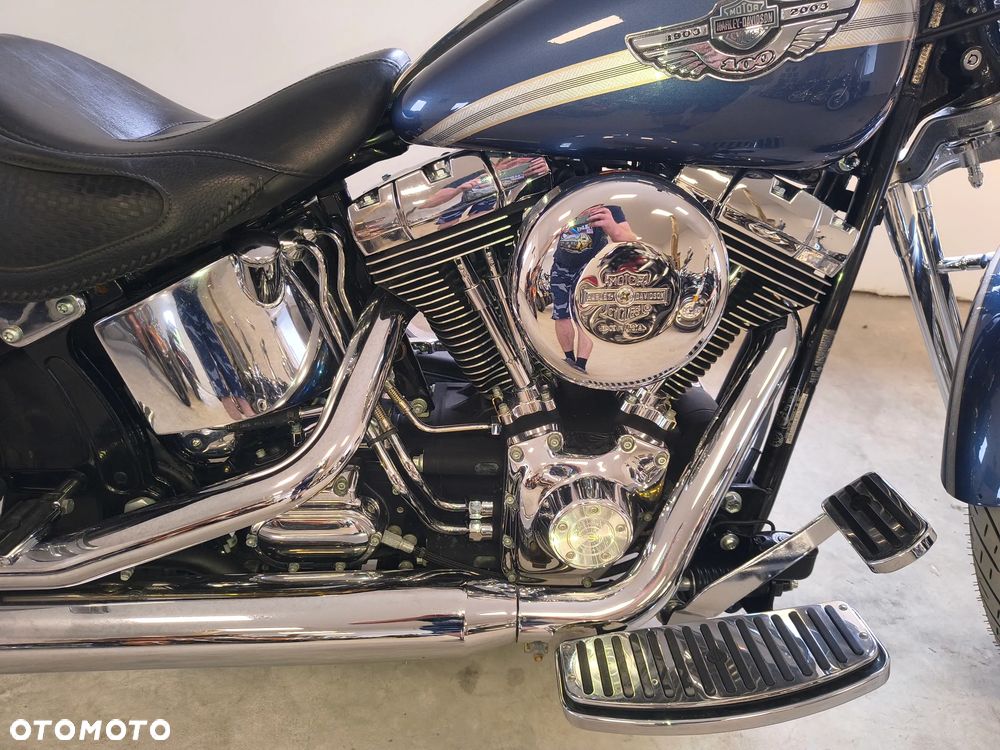 Harley-Davidson Softail Springer Classic - 15