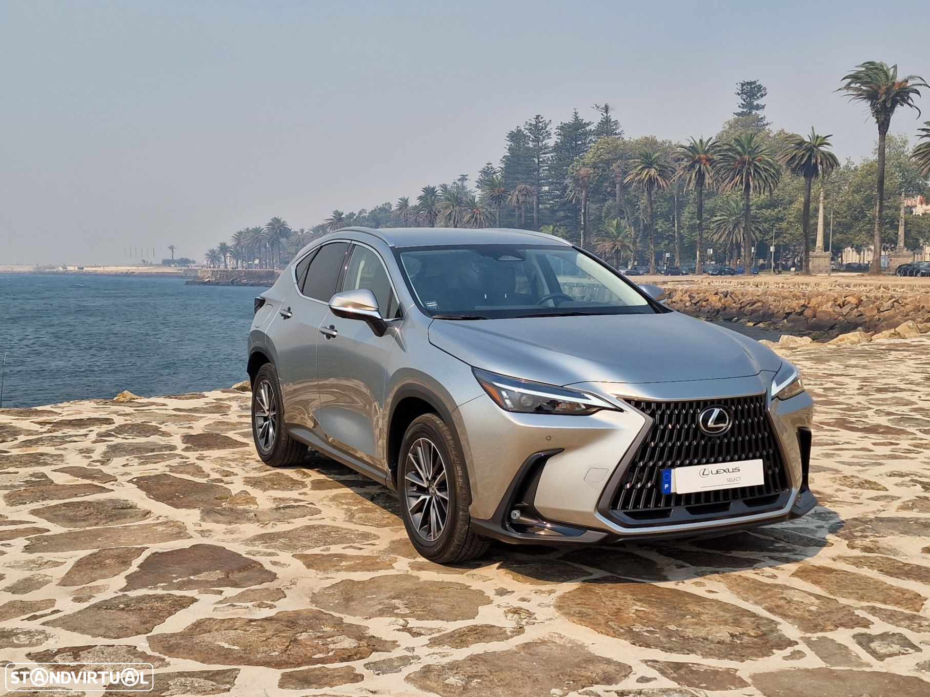 Lexus NX 450h+ - 9