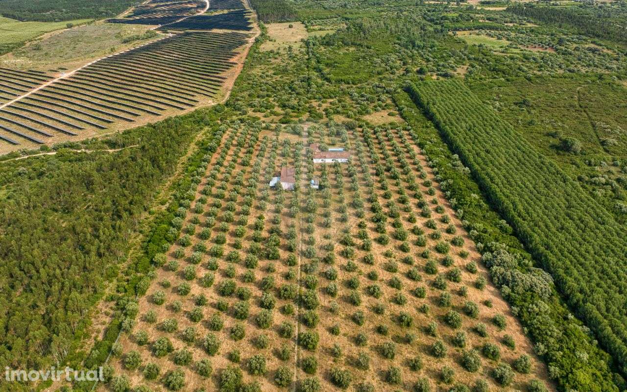 Quinta T4 para venda - Grande imagem: 5/46