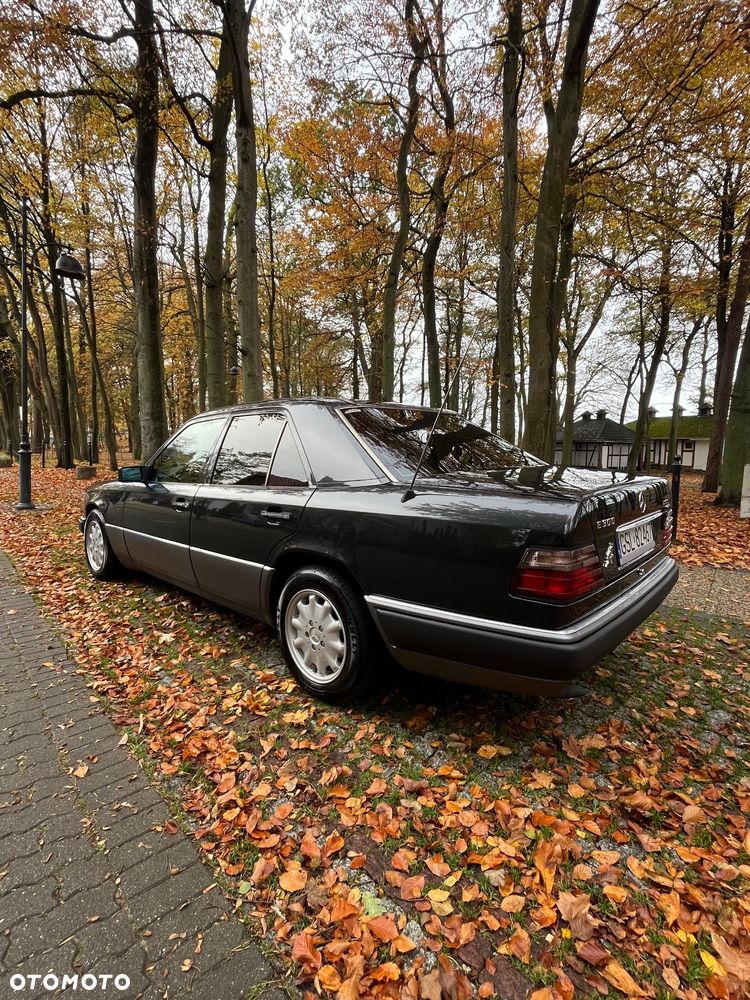 Mercedes-Benz W124 (1984-1993) - 5