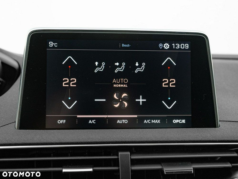 Peugeot 3008 1.5 BlueHDi GT S&S EAT8 - 24