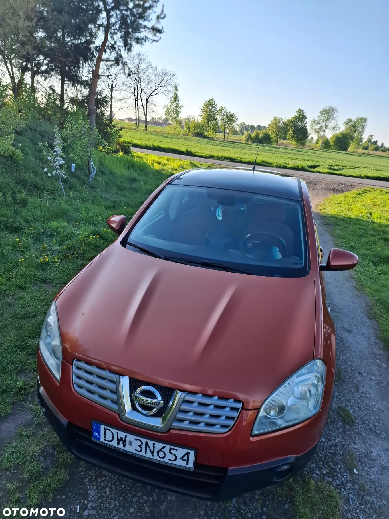 Nissan Qashqai 2.0 acenta - 6