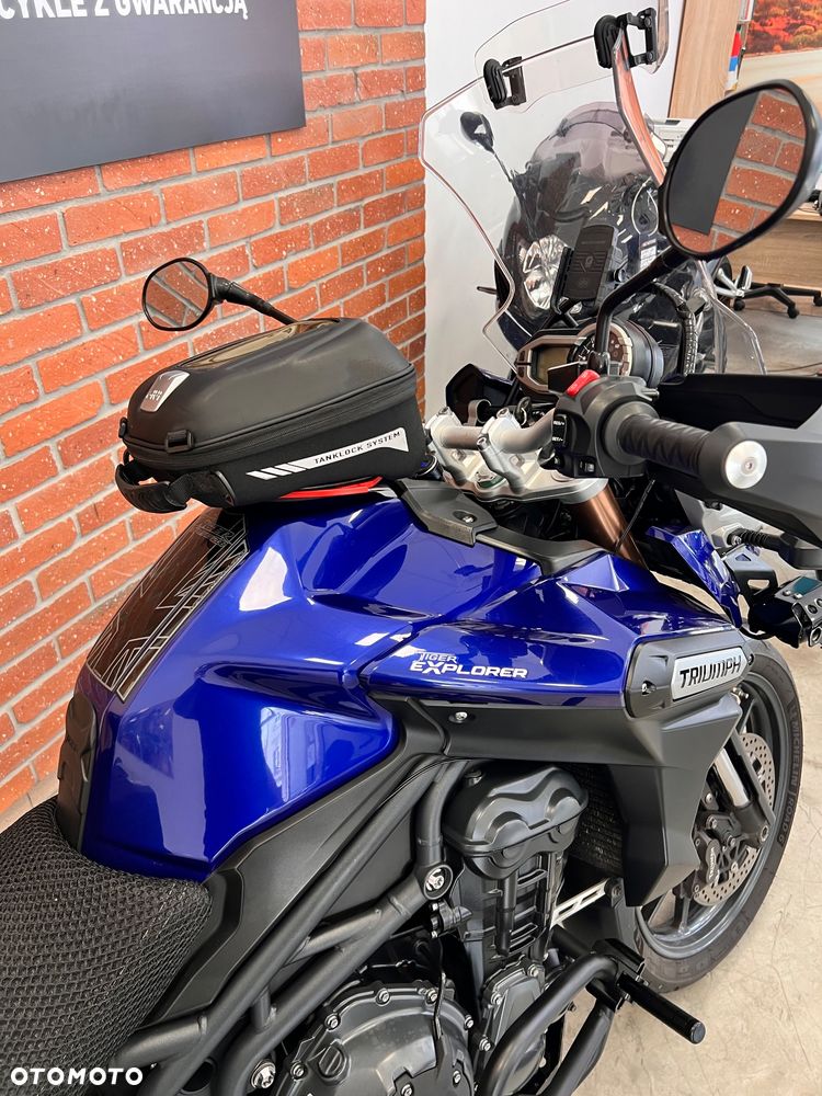 Triumph Tiger - 14