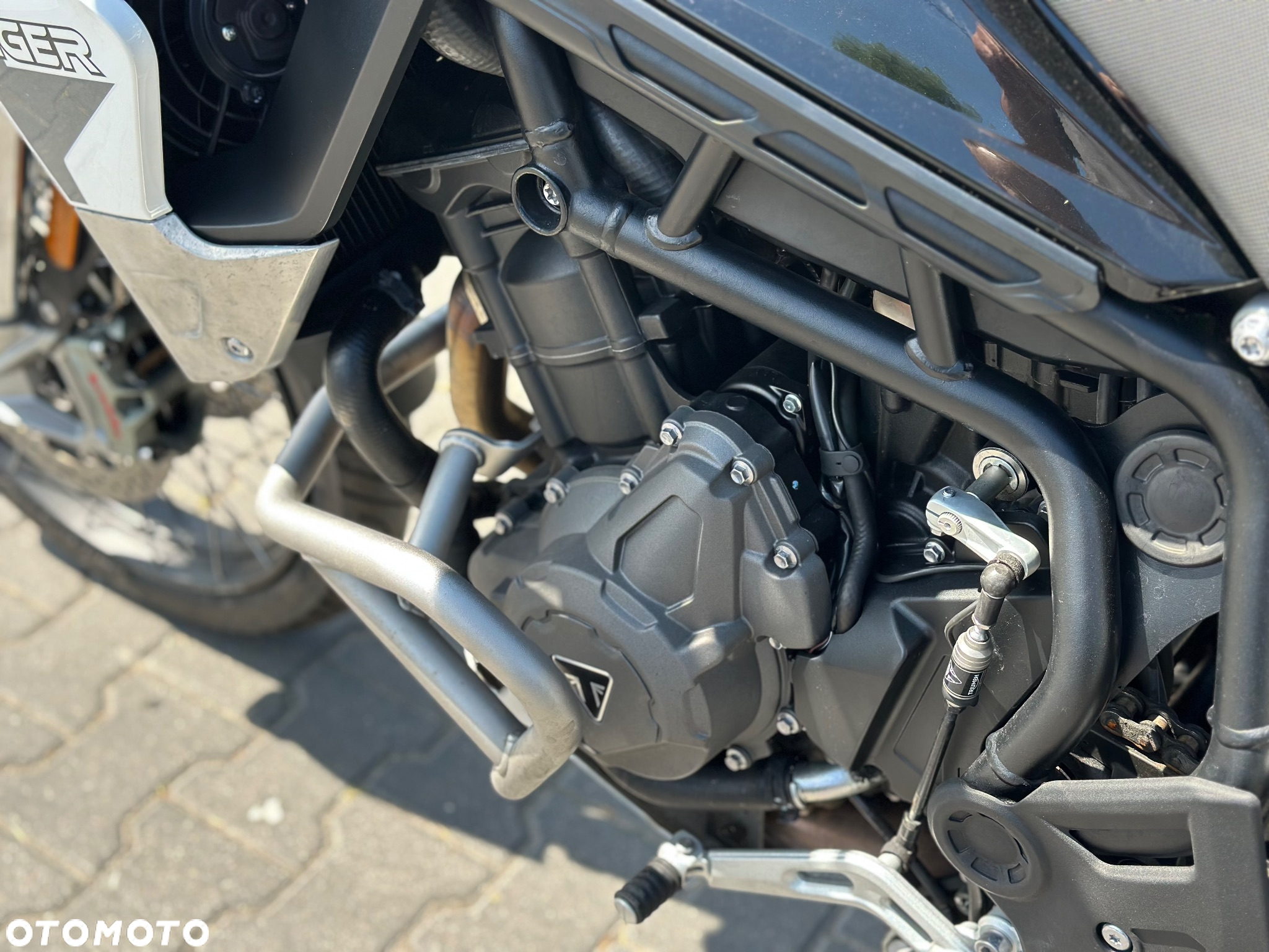 Triumph Tiger - 18