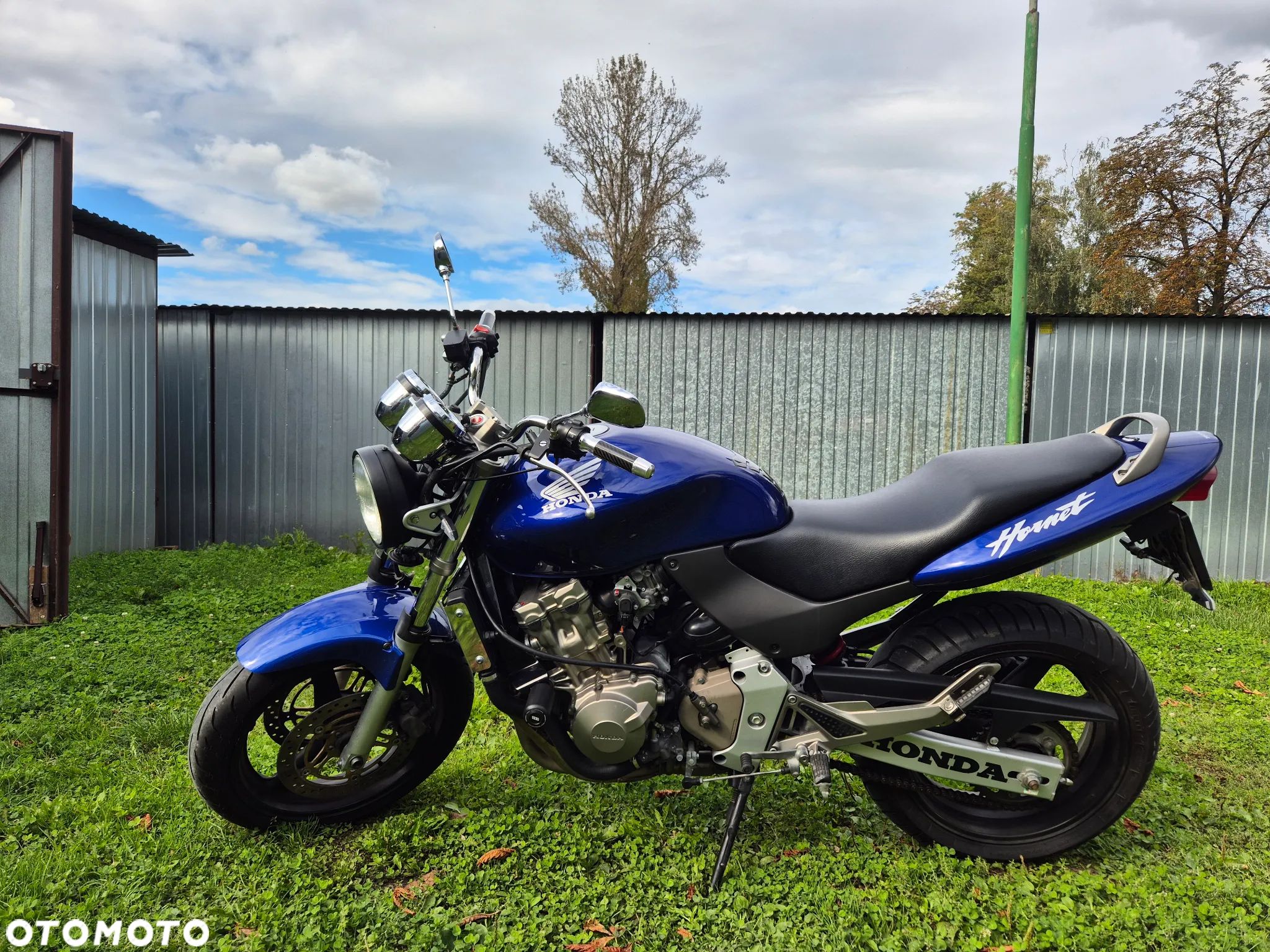 Honda Hornet - 1