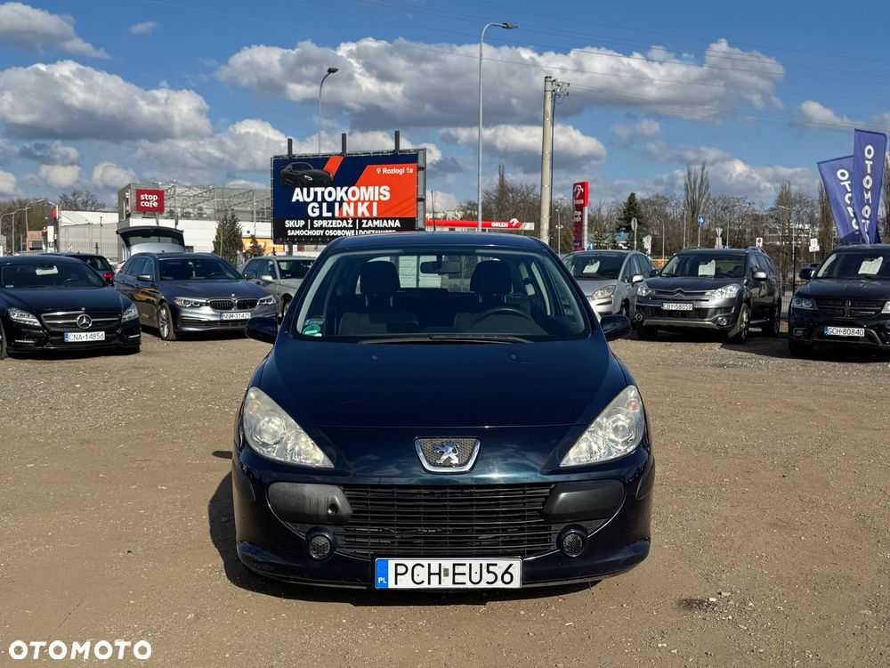 Peugeot 307 1.4 XR - 13