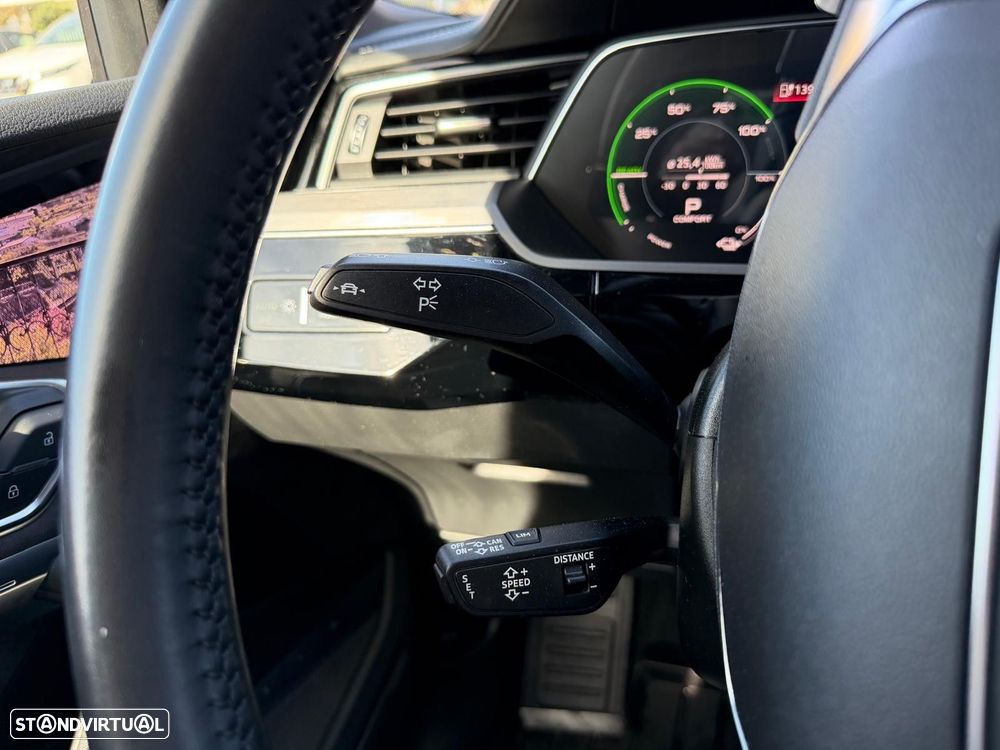 Audi e-tron 55 quattro S line - 25