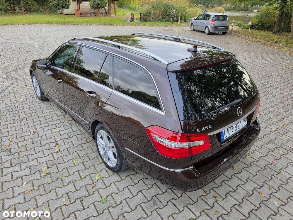 Mercedes-Benz Klasa E 250 CDI DPF BlueEFFICIENCY Avantgarde - 16
