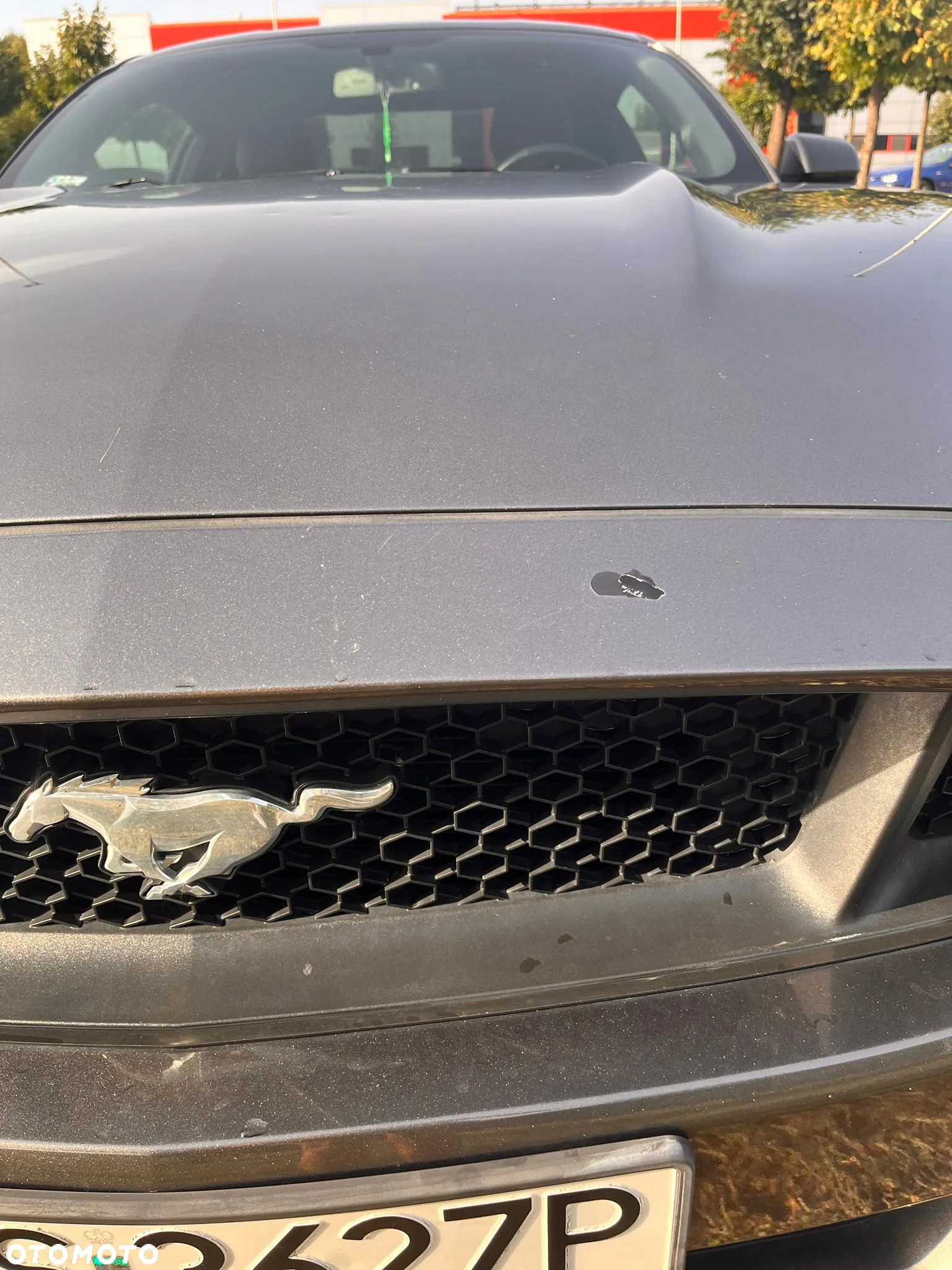 Ford Mustang 2.3 EcoBoost - 7