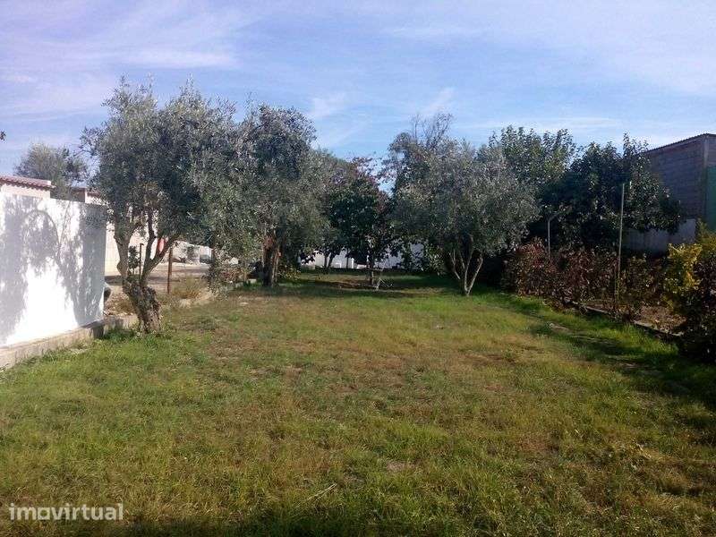 QUINTA Situada a 1800 M  da CIDADE de PONTE de SOR - Grande imagem: 2/9