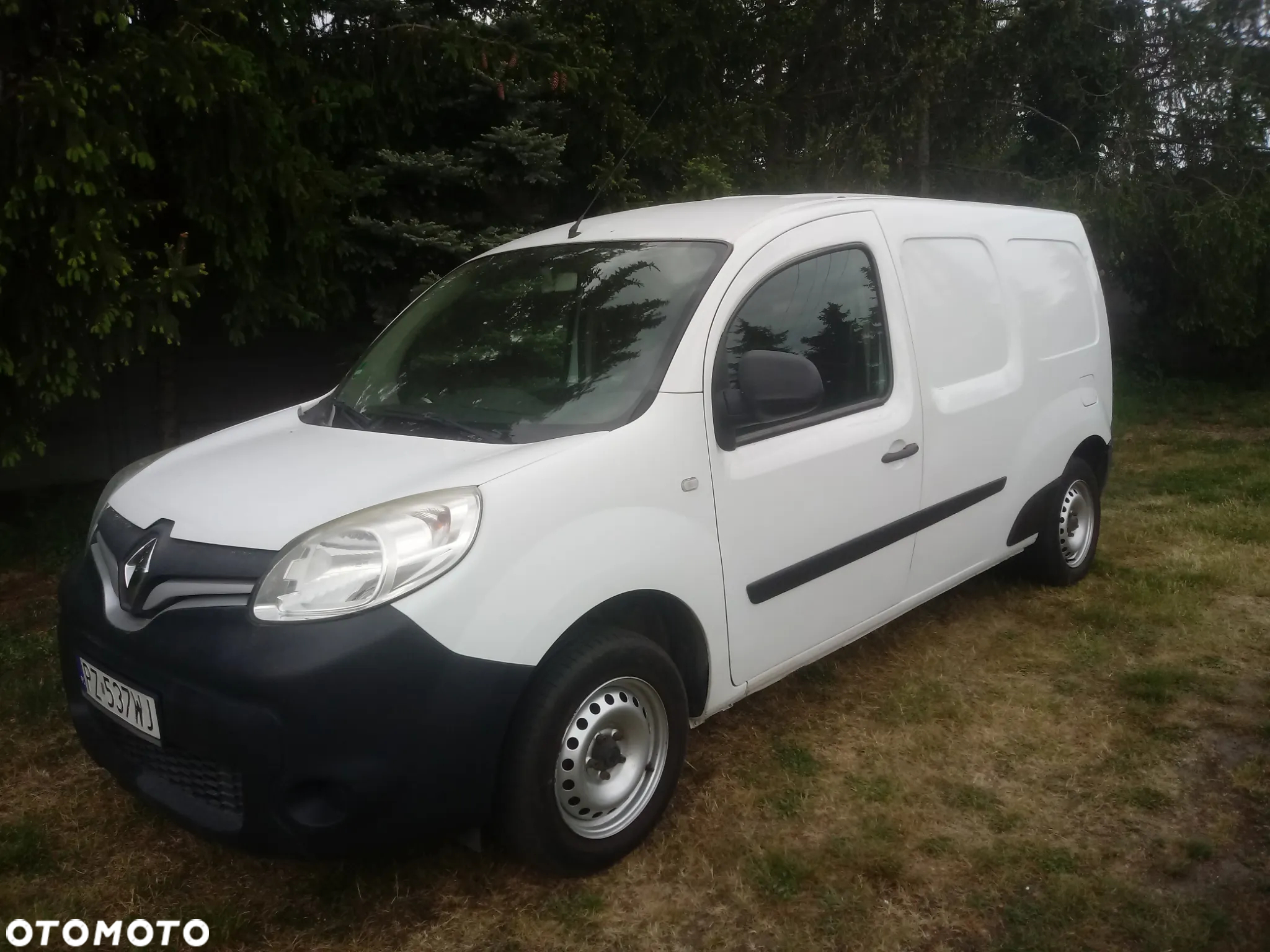 Renault Kangoo - 2