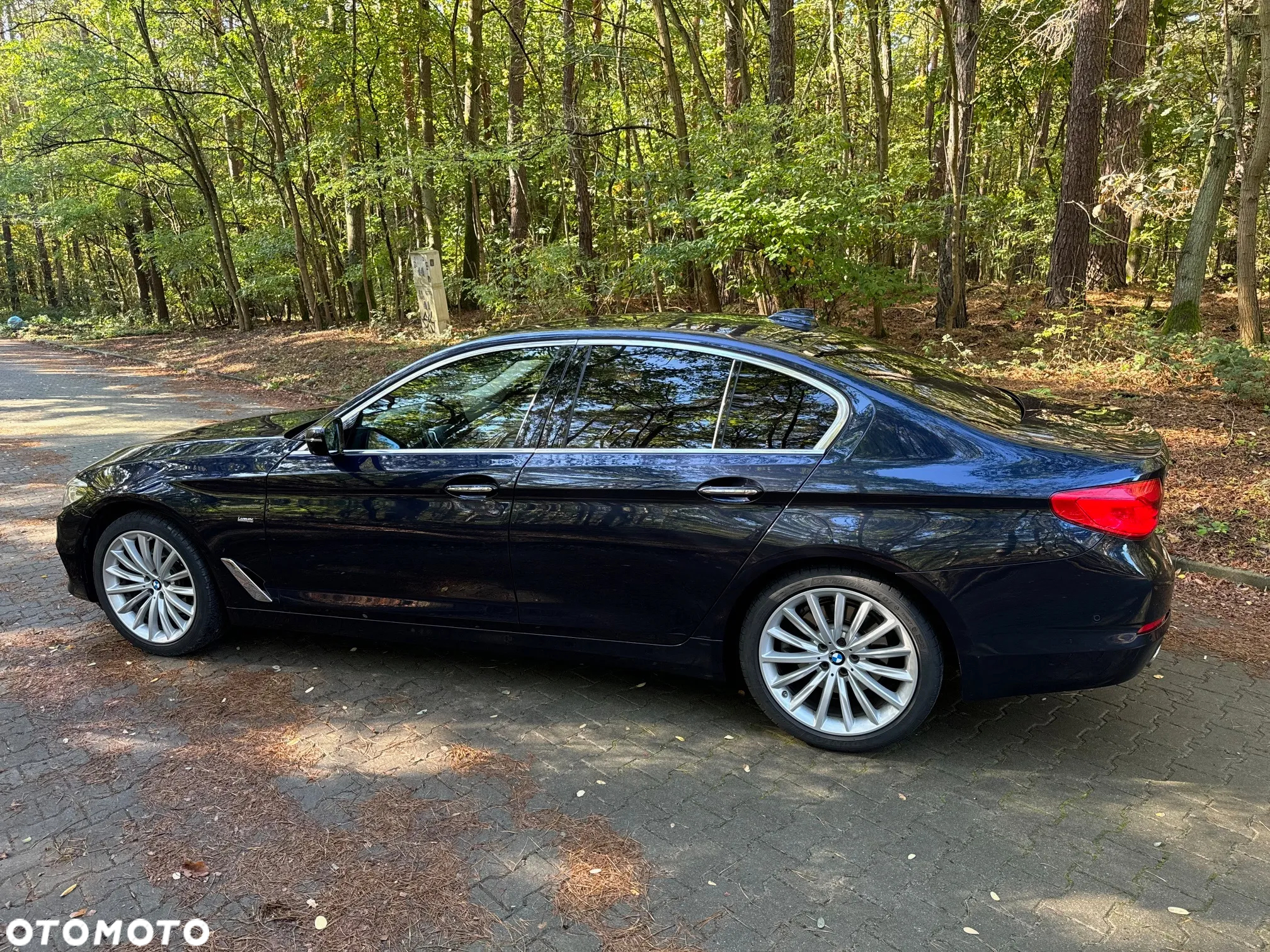BMW Seria 5 520d xDrive Luxury Line - 9