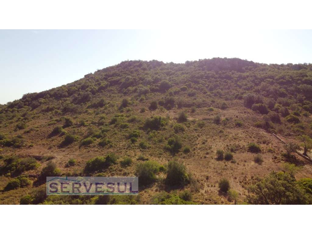 Terreno rústico com area total de 53080 m2, localizado junto à Alde... - Grande imagem: 3/14